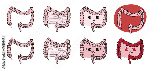 Simple gastrointestinal illustration set of bowel internal system. Healthy gut concept. Human body parts in vector. For probiotics or gastroenterologist field.