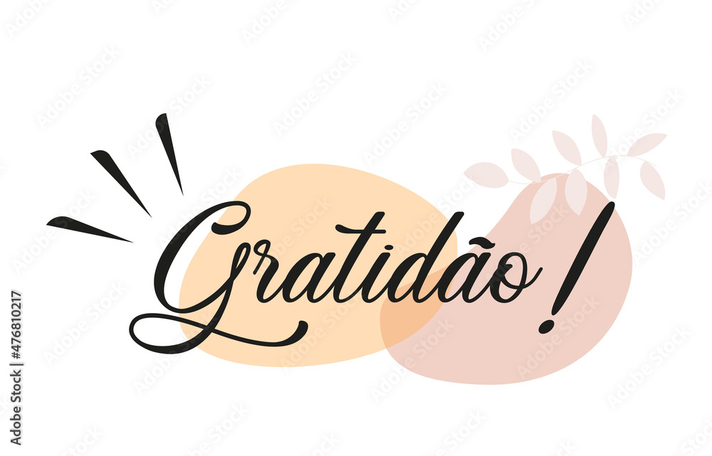 Obraz premium Gratitude in Portuguese Brazilian language. Calligraphy vector on minimalist background.