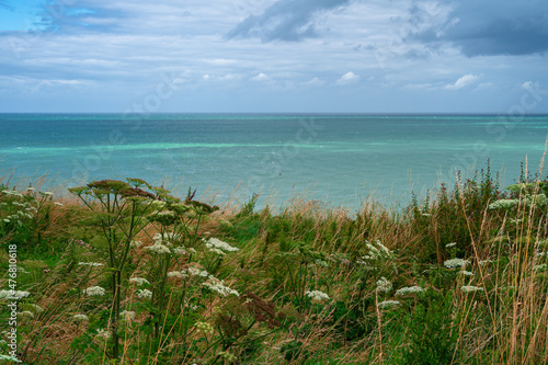 Grassy shoreline on the Atlantic coast
