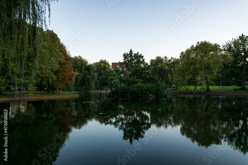 View of weeping willow trees and sky on the lake in a park