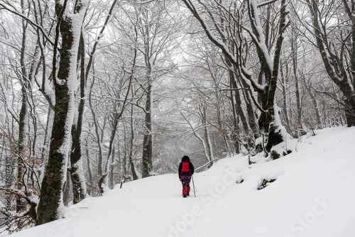 Woman doing trekking in winter