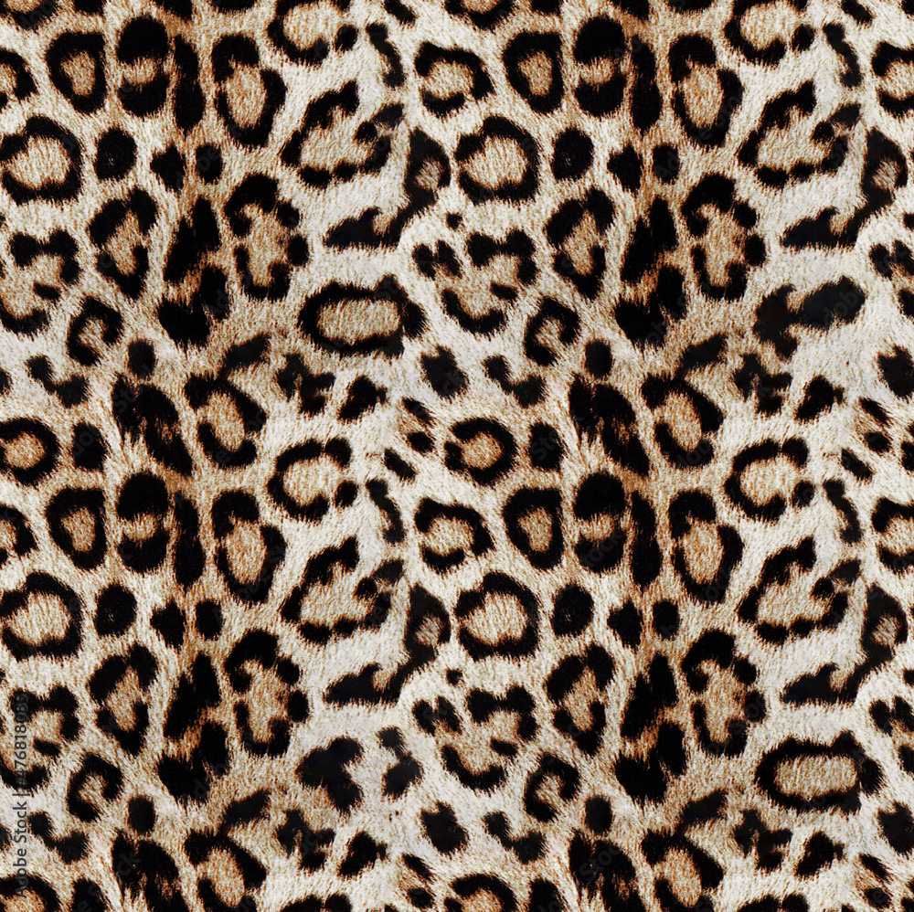 leopard fur texture leopard fur texture