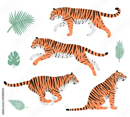 Vector set of hand drawn flat tigers and palm leaves isolated on white background