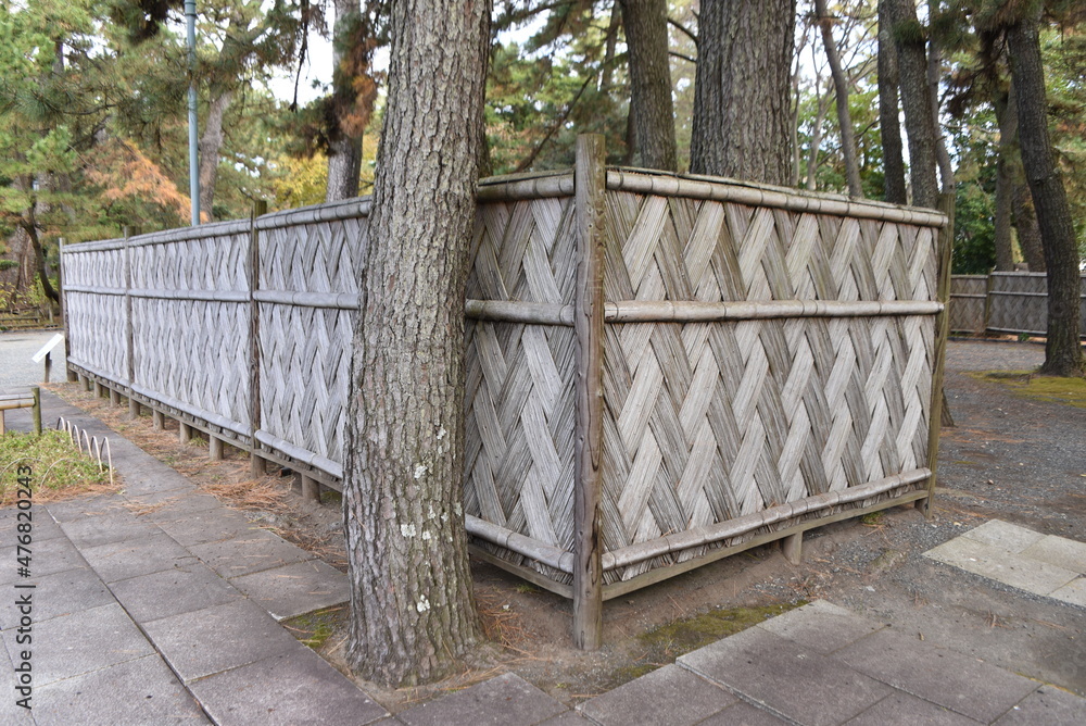 Japanese traditional bamboo fence'Numazugaki'. It is a bamboo fence
