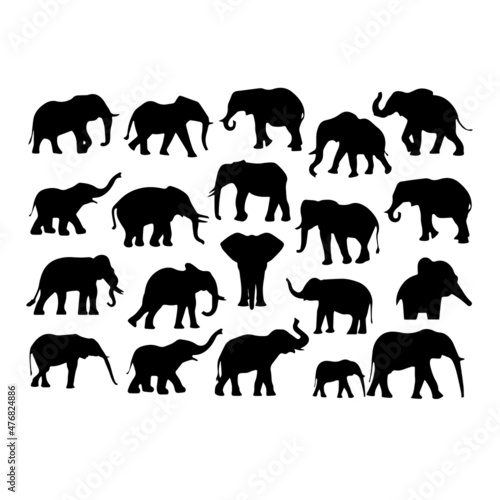 silhouette elephant animals illustration background design