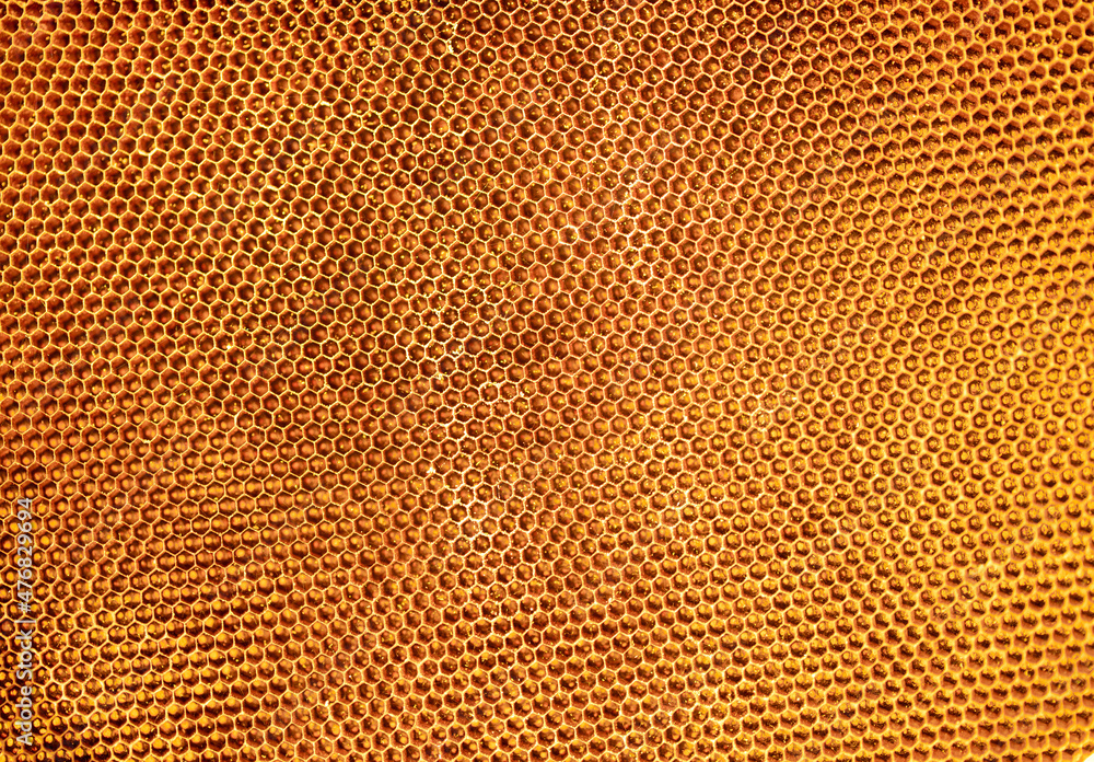 Deserted honeycomb, Abandoned house without bees, Yellow old house Depth of Field, On a blurred background. Deserted honeycomb, Abandoned house without bees, Yellow old house Depth of Field, On a blurred background.