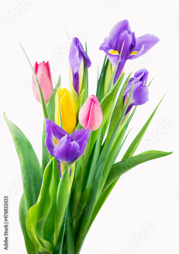 Fototapeta Naklejka Na Ścianę i Meble -  bunch of tulips and irises isolated on white background