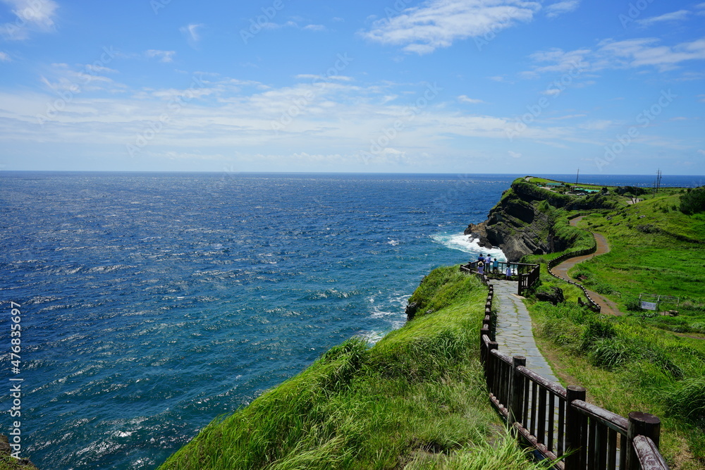 a wonderful walkway at seaside cliff
