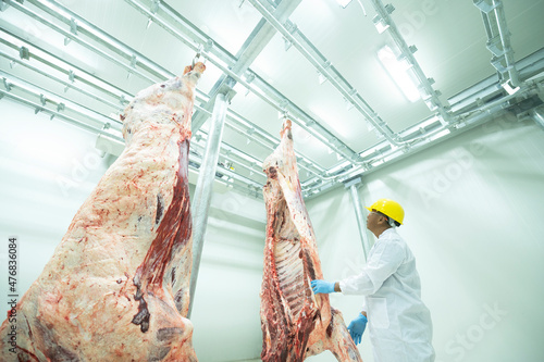 Konstfotografi A Professional butcher in factory cold room with the carcass of Japanese wagyu b