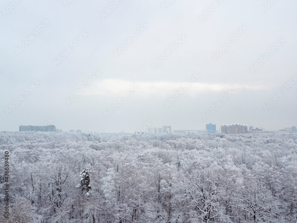 overcast sky over snow-covered city park and city