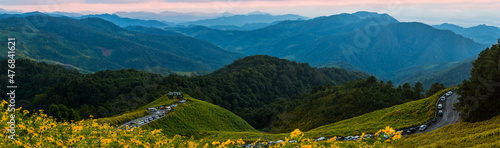 panorama veiw beautiful scenery of yellow flowers Thung Bua Tong, Mae Hong Son, Thailand