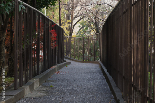 ローアングルから見た歩道　東京、赤坂5丁目の街の風景