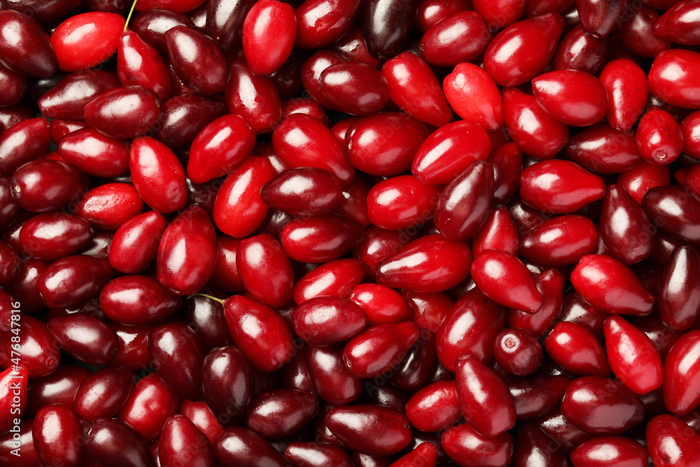 Fresh ripe dogwood berries as background, top view Fresh ripe dogwood berries as background, top view