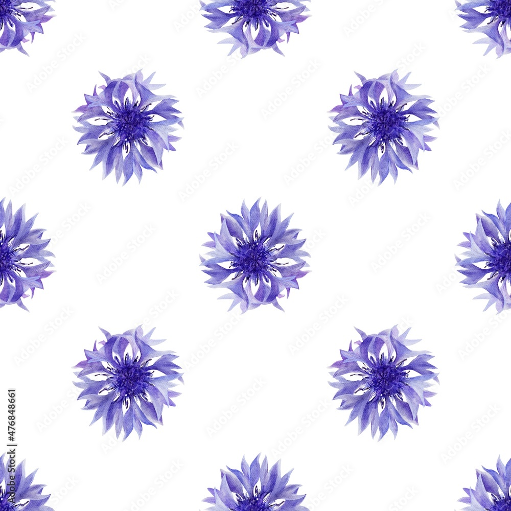 Seamless pattern with very peri flowers isolated on white
