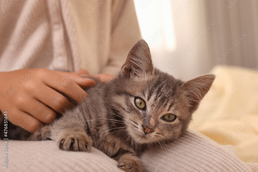 Cute little girl with kitten on bed indoors, closeup. Childhood pet