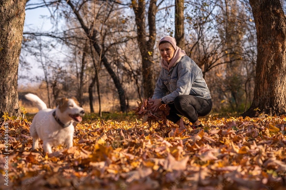 Woman walk with dog in the autumn park. Happy Jack Russell terrier play outdoors