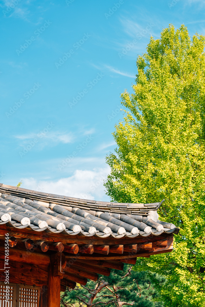 Traditional roof at Dongchundang Historical Park in Daejeon, Korea