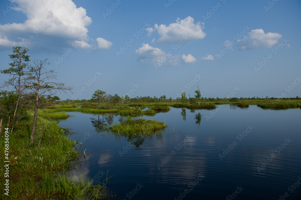 Obraz premium Elninskoe swamp,Belarus. Landscape of the Elninsky Reserve. A beautiful and clean lake in the center of the reserve.Walking along the eco-trail, acquaintance with a new ecosystem.swamp-lungs of Europe