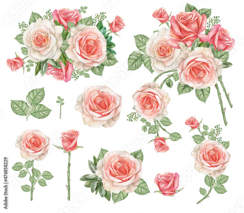Watercolor dusty rose branch set,pink blush rose flower,wedding arragement, bridal shower elements,Vintage realistic botanical  rose border. © Fefelova Yana