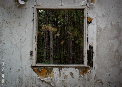 A view from an old window