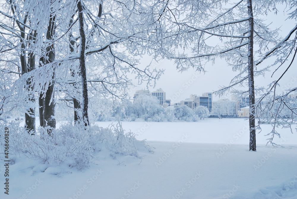 Beautiful park in winter Beautiful park in winter