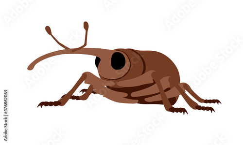 Weevil, insect pest, enemy of crops. Color vector illustration isolated on a white background in a cartoon and flat design.