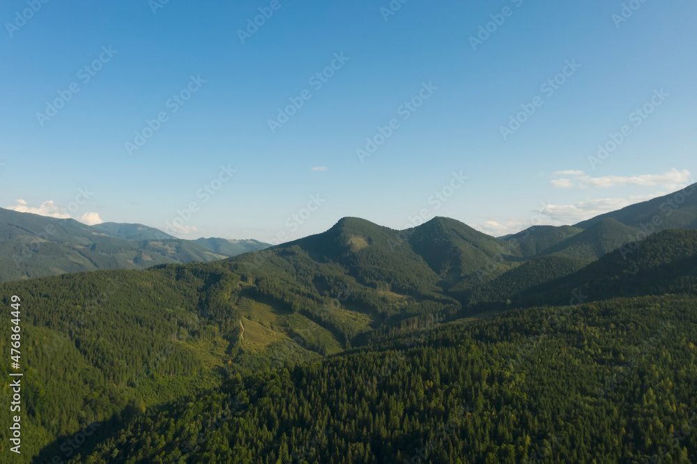 Naklejka premium Aerial view of beautiful conifer trees in mountains on sunny day