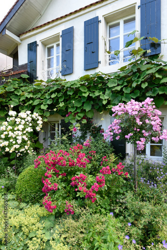Beautiful blossomed house in spring season