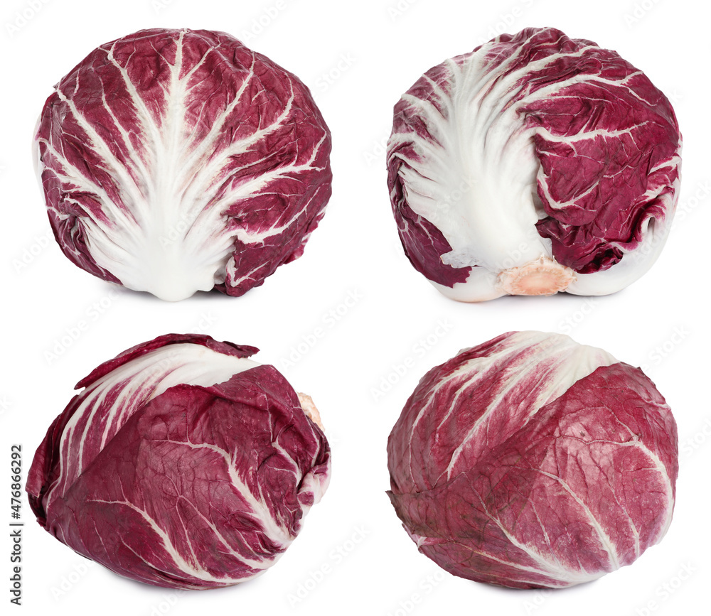 Obraz premium Set with fresh ripe radicchios on white background