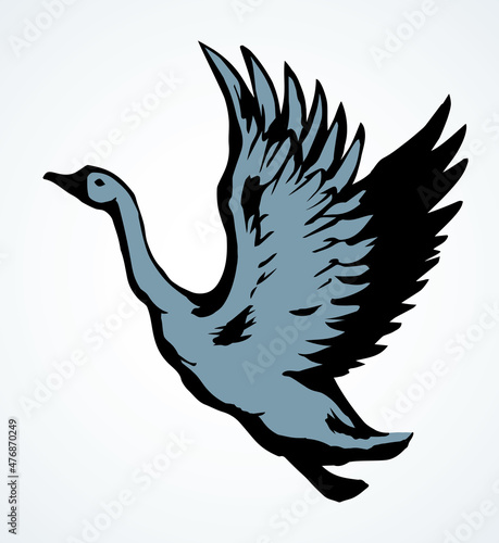 Goose in flight. Vector drawing