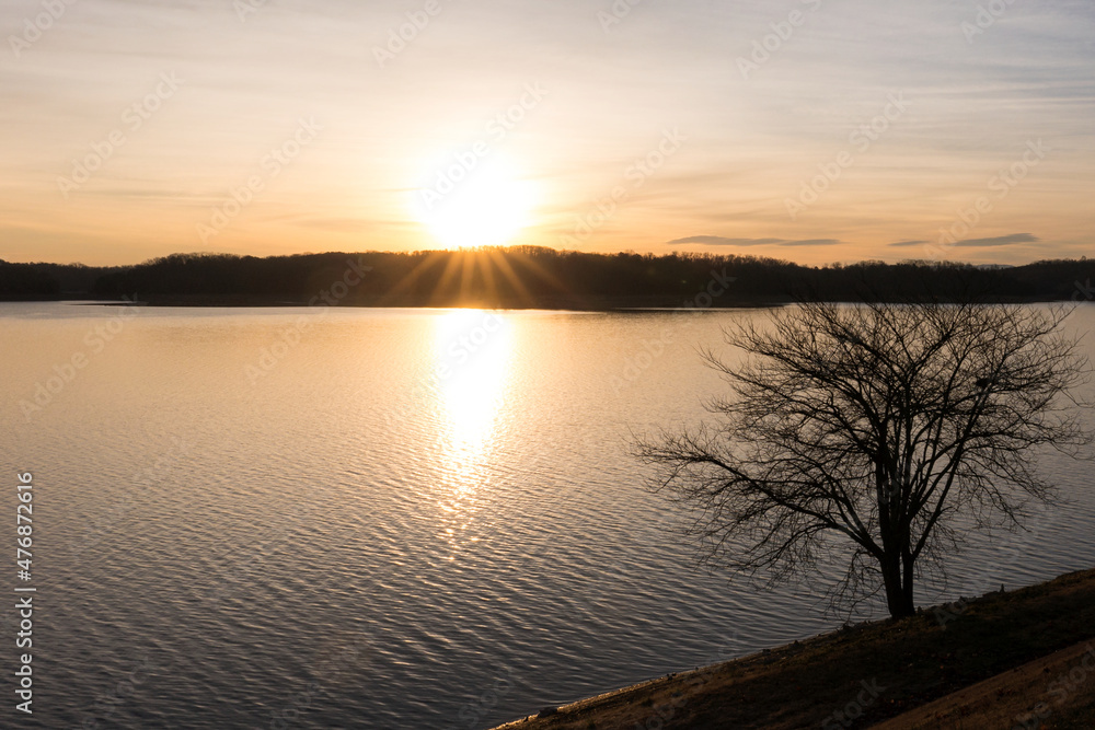 Sunrise and Tree on the Lake