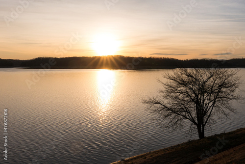 Fototapeta Naklejka Na Ścianę i Meble -  Sunrise and Tree on the Lake