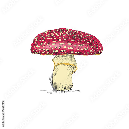 Mushroom Amanita sketch vector illustration