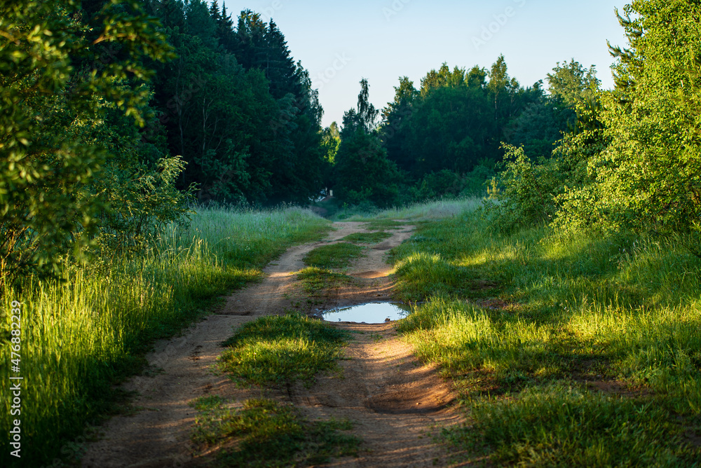 Fototapeta premium Wet dirt road and foggy foggy meadow.