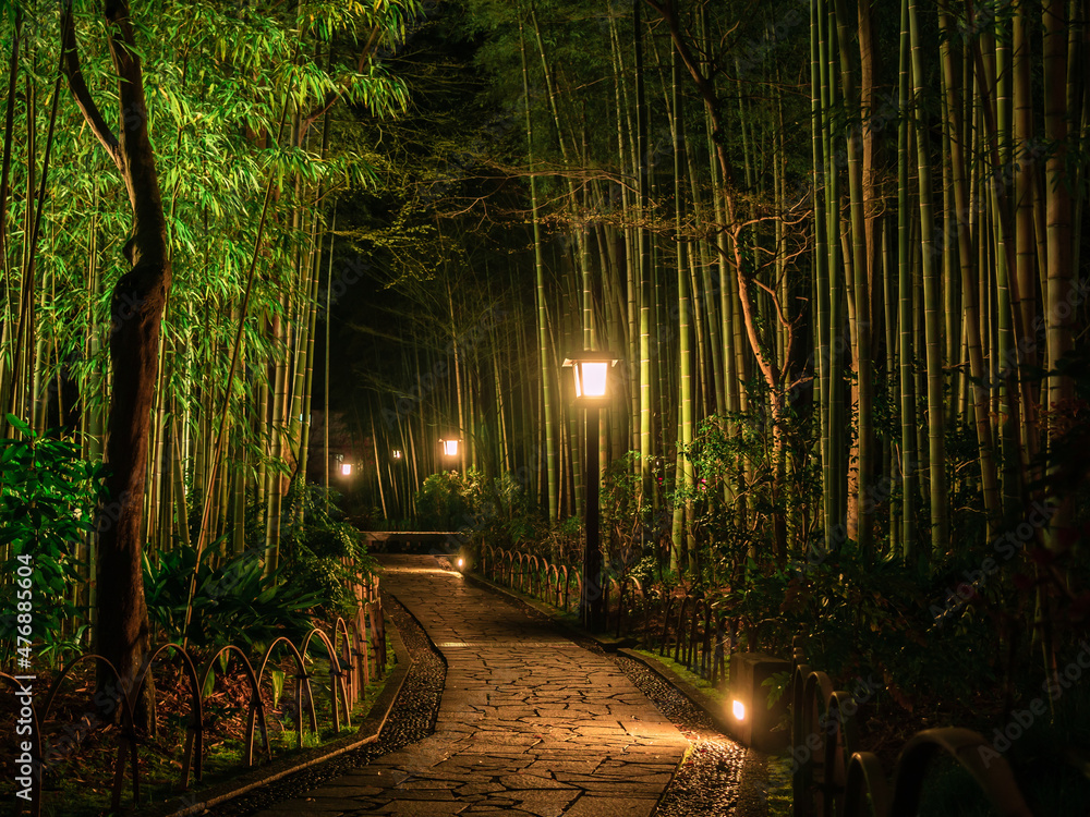 伊豆修善寺温泉街「竹林の小径」の夜景 Stock Photo | Adobe Stock