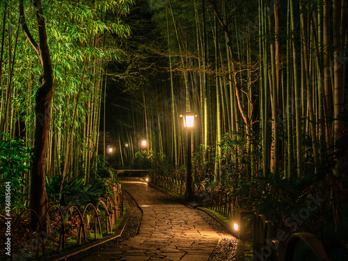 伊豆修善寺温泉街「竹林の小径」の夜景