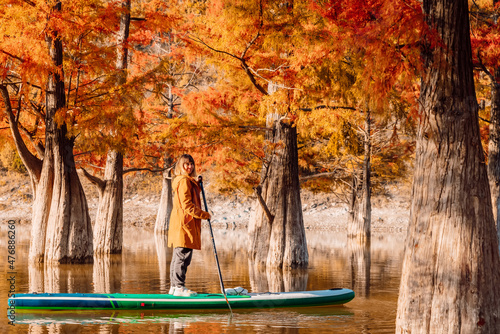 Happy woman on stand up paddle board at the lake with Taxodium trees. Woman on SUP board photo