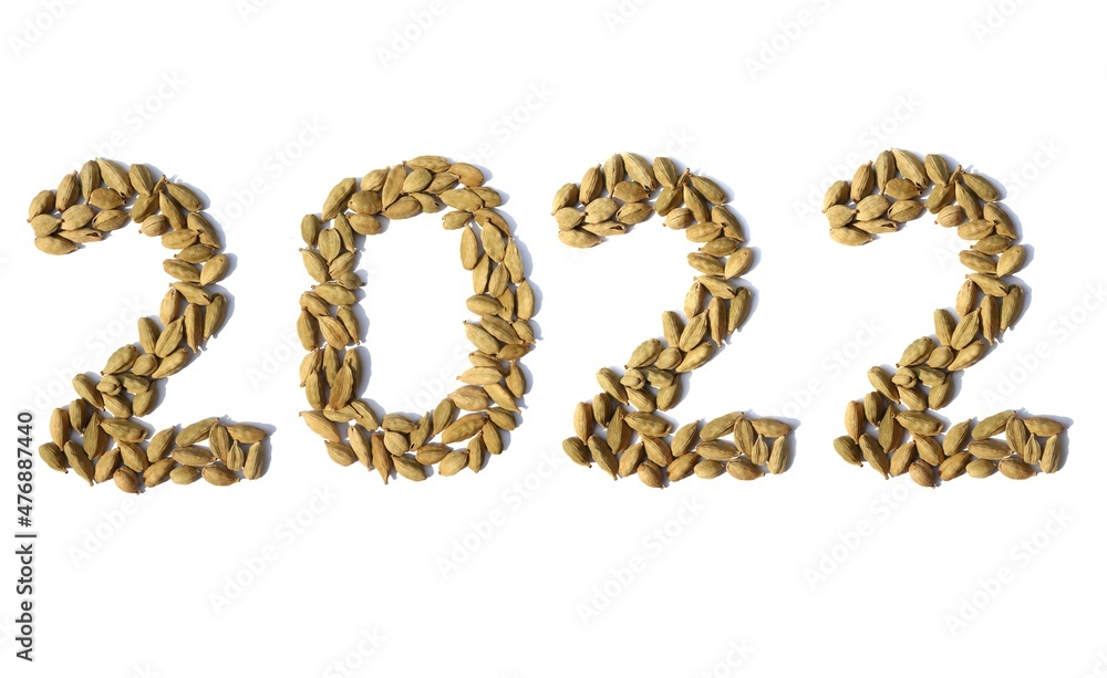 2022 Written With Cardamom or Ilaichi on White Background, Conceptual Photo of Happy New Year 2022 2022 Written With Cardamom or Ilaichi on White Background, Conceptual Photo of Happy New Year 2022