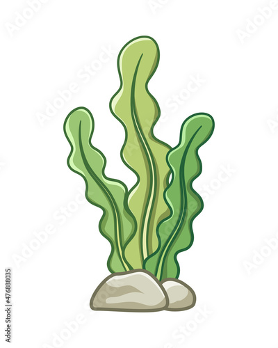Underwater seaweed cartoon vector illustration clipart