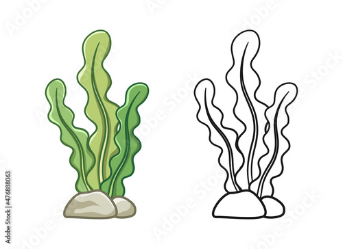 Underwater seaweed colored and outline set vector illustration clipart
