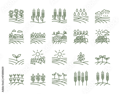 Agriculture field icons set. Barley spikelet. Editable stroke size. Vector line.