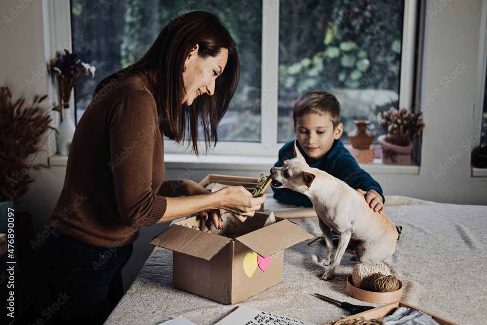 Happy family mom and kid putting bone in Pet Subscription Box for Dogs. Chihuahua dog and Subscription pet box with Organic Treats Fun Toy Bully Sticks All Natural Chews seasonal gear Stock Photo