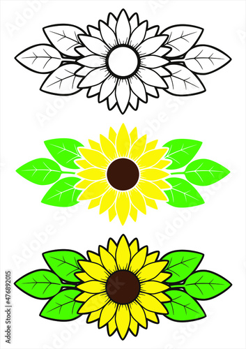 Yellow sunflower with green leaves flat illustration and outline drawing of sunflower by line, set of sunflower flowers with vines 