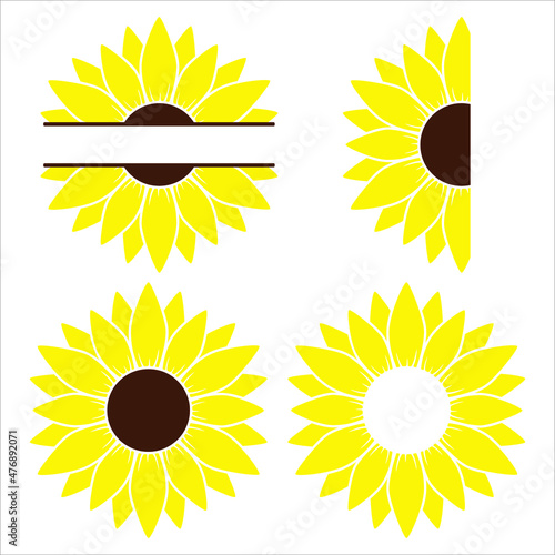 Sunflower whole, half and split sunflower set, flat illustration 