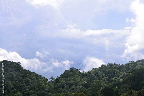 Beautiful summer sky with clouds over forested mountains