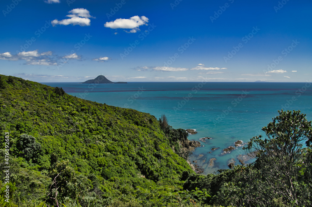 The Bay of Plenty and Moutohara (Whale Island), as seen from the densely forested coast of Kohi Point Scenic Reserve near Whakatane, North Island, New Zealand.
