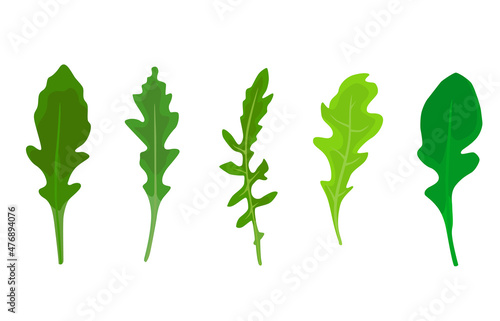 Set of arugula leaves in different shades of green, isolated on a white background
