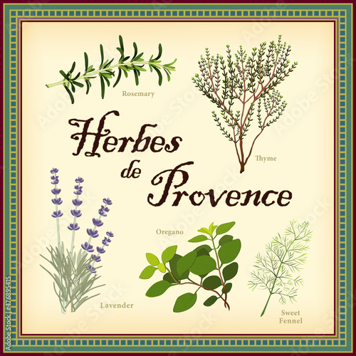 Herbes de Provence, Lavender, Rosemary, Thyme, Sweet Fennel, Oregano. Classic blend of aromatic herbs from southwest France, flavors fish, meats, olives, potatoes, stews, soups, sauces, mosaic frame.