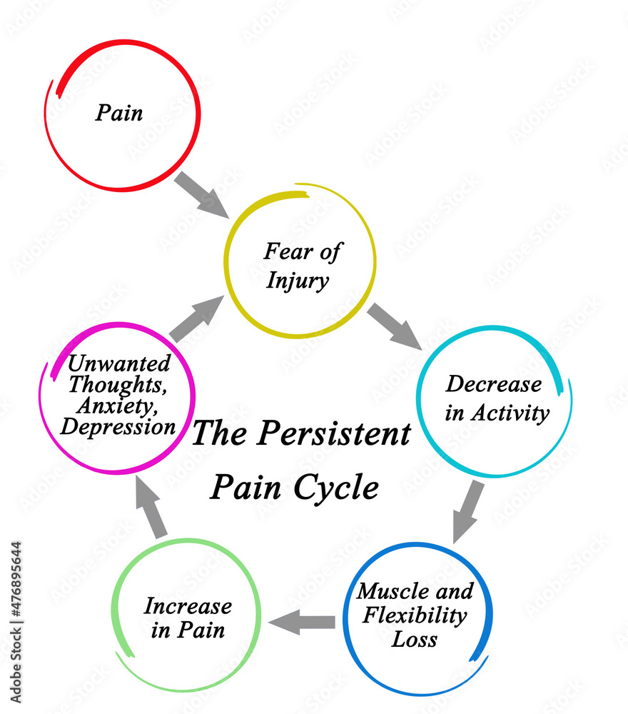 Components of Persistent Pain Cycle