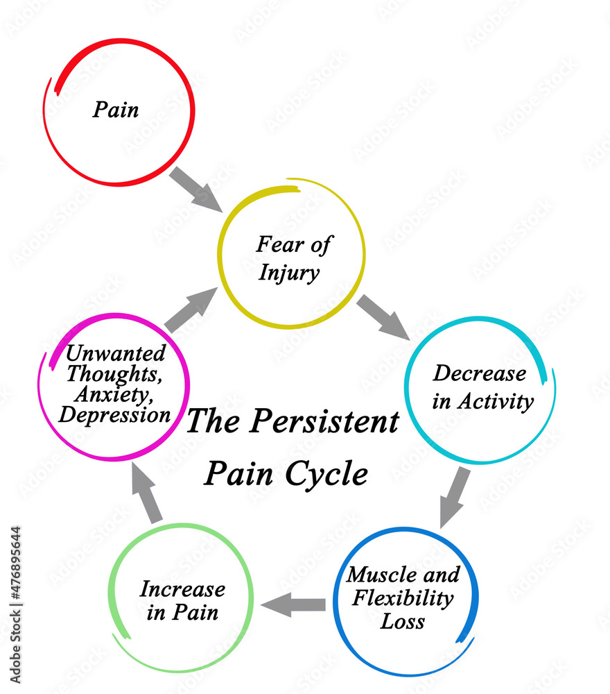 Components of Persistent Pain Cycle Components of Persistent Pain Cycle